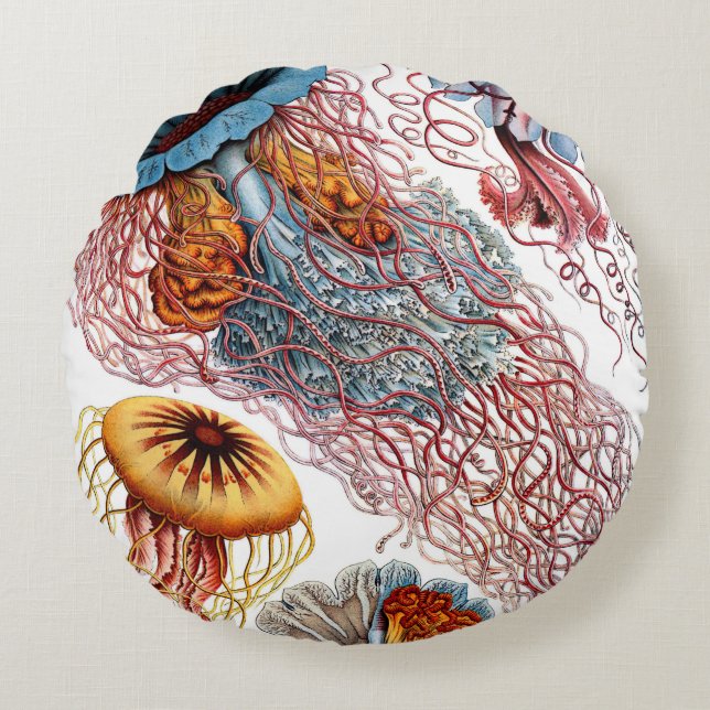 Haeckel Jellyfish Cushions (Front)