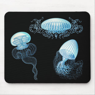 Haeckel Jellyfish Mouse Mat