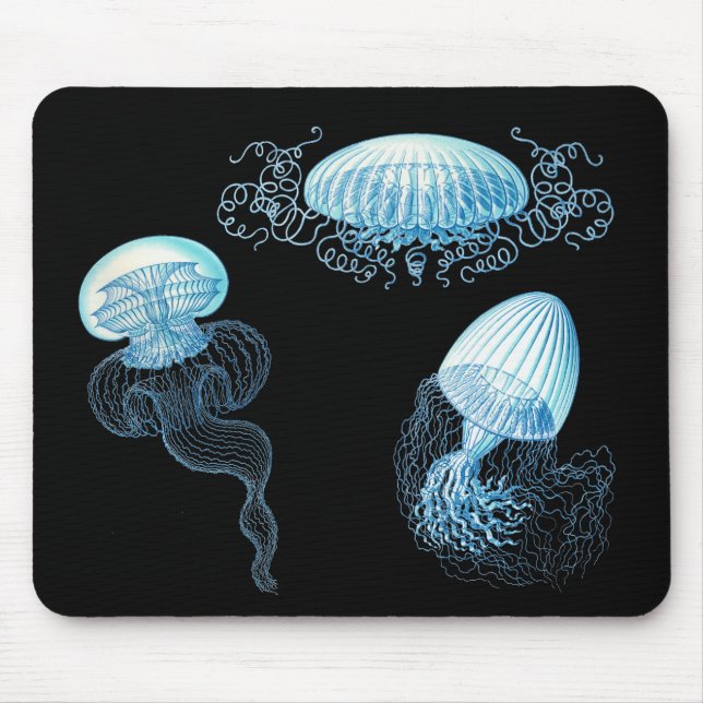 Haeckel Jellyfish Mouse Mat (Front)