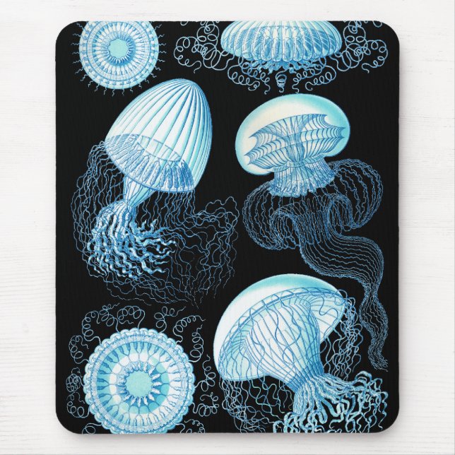 Haeckel Jellyfish Mouse Mat (Front)