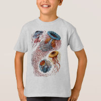Haeckel Jellyfish