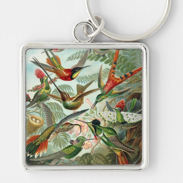 Haeckel Key Ring (Front)