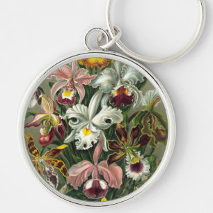 Haeckel Key Ring