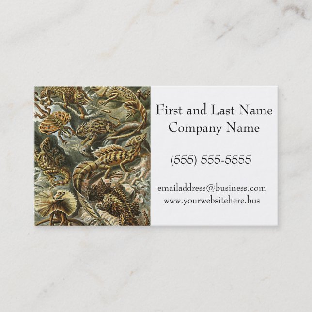 Haeckel Lizard Bearded Dragon Iguana Painting Business Card (Front)