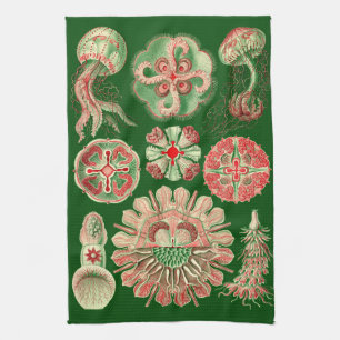 Haeckel Marine Jellyfish Illustration Red & Green Tea Towel