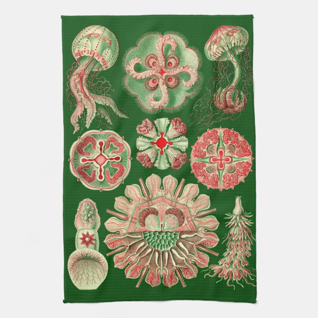 Haeckel Marine Jellyfish Illustration Red & Green Tea Towel (Vertical)