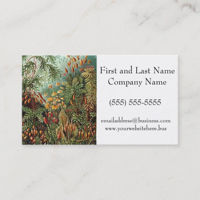 Haeckel Moss, Grass, and Fungus Mushroom Painting Business Card (Front)