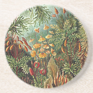 Haeckel Moss, Grass, and Fungus Mushroom Painting Coaster