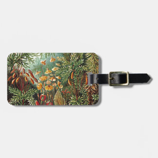 Haeckel Moss, Grass, and Fungus Mushroom Painting Luggage Tag