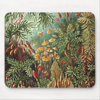 Haeckel Moss, Grass, and Fungus Mushroom Painting Mouse Mat