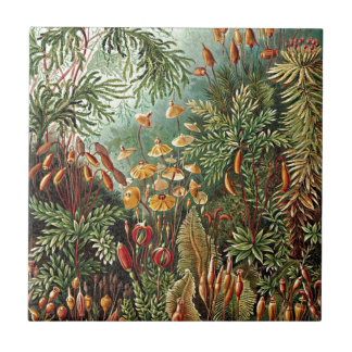 Haeckel Moss, Grass, and Fungus Mushroom Painting Tile