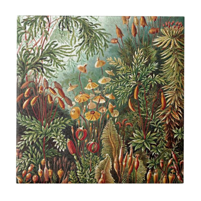Haeckel Moss, Grass, and Fungus Mushroom Painting Tile (Front)