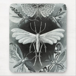 Haeckel Moths Mouse Mat