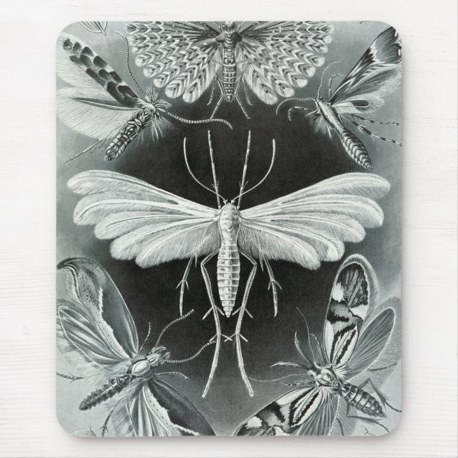 Haeckel Moths Mouse Mat (Front)