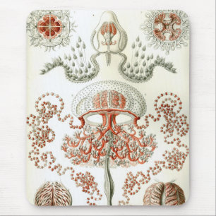Haeckel Mouse Mat