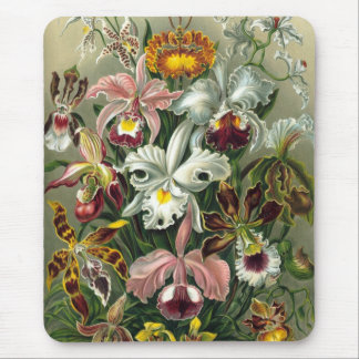 Haeckel Mouse Mat