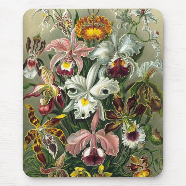 Haeckel Mouse Mat (Front)