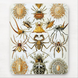 Haeckel Mouse Mat
