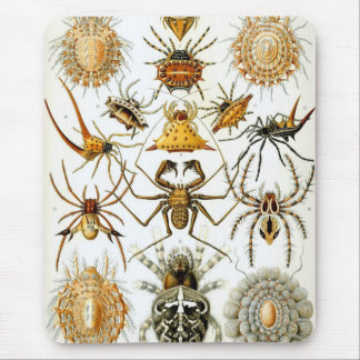 Haeckel Mouse Mat