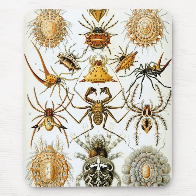 Haeckel Mouse Mat (Front)