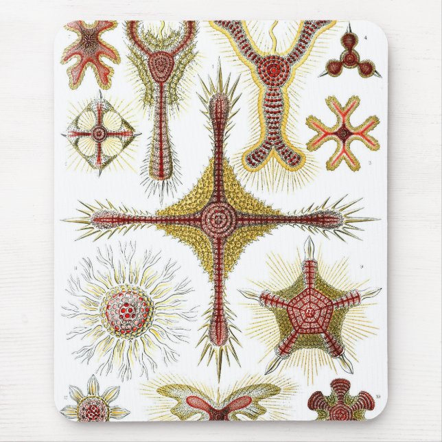 Haeckel Mouse Mat (Front)