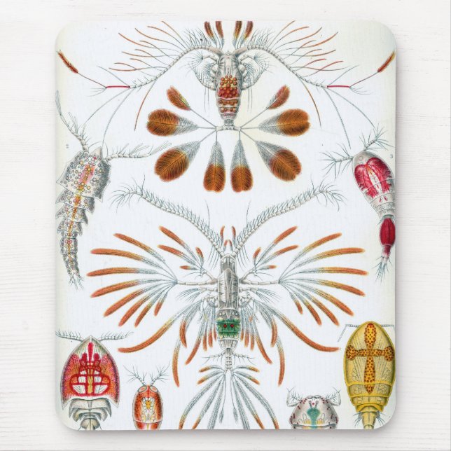 Haeckel Mouse Mat (Front)