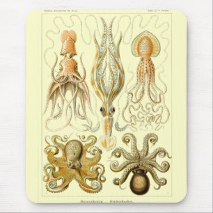 Haeckel Mouse Mat