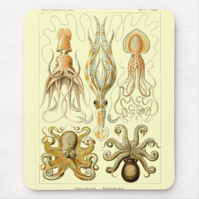 Haeckel Mouse Mat (Front)