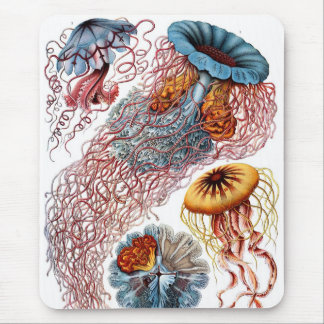 Haeckel Mouse Mat