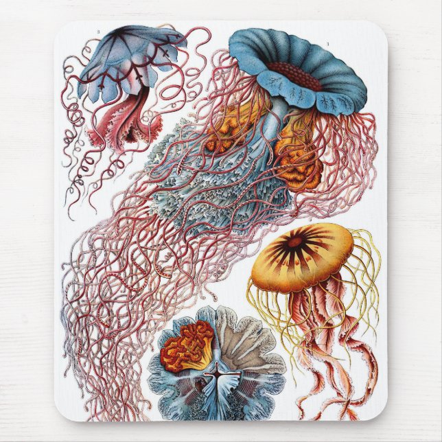Haeckel Mouse Mat (Front)