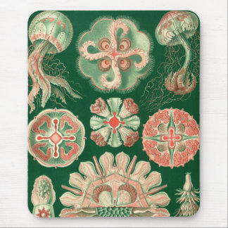 Haeckel Mouse Mat