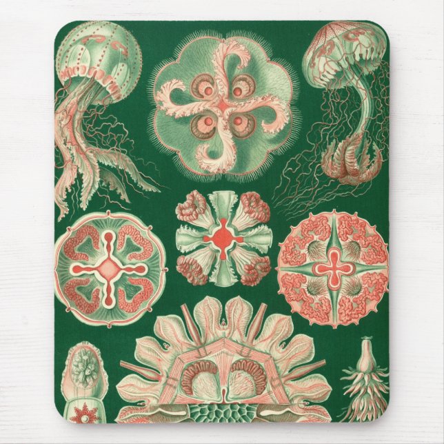 Haeckel Mouse Mat (Front)