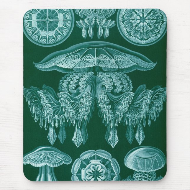 Haeckel Mouse Mat (Front)