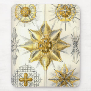 Haeckel Mouse Mat