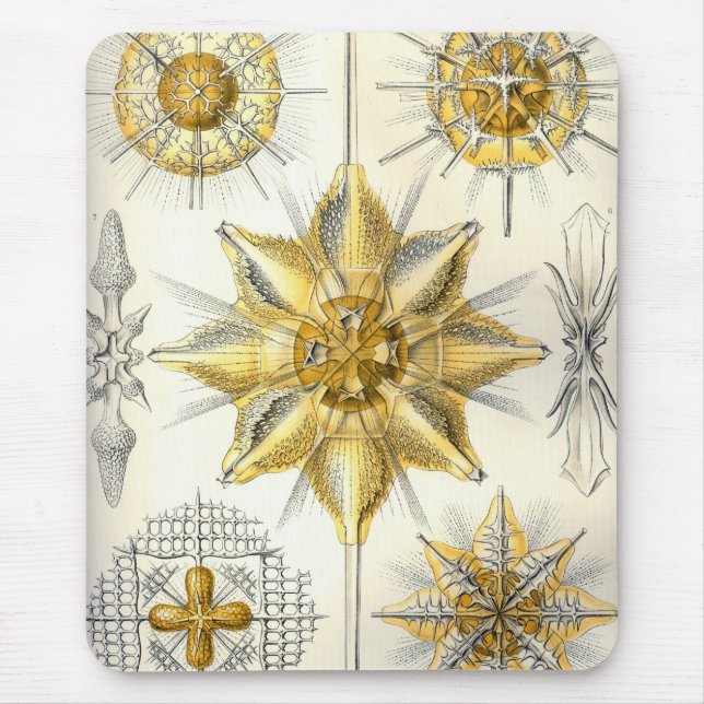 Haeckel Mouse Mat (Front)