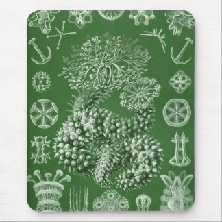 Haeckel Mouse Mat