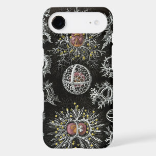 Haeckel Negative