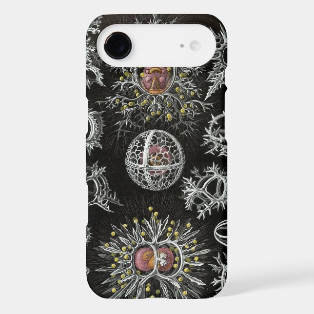 Haeckel Negative (Back)