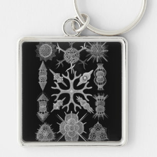 Haeckel Negative Key Ring