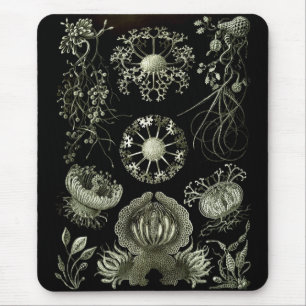 Haeckel Negative Mouse Mat