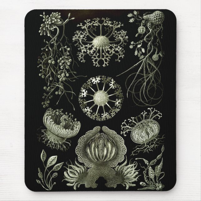 Haeckel Negative Mouse Mat (Front)