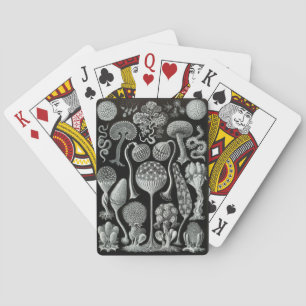 Haeckel Negative Playing Cards