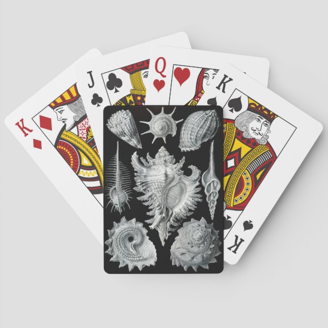 Haeckel Negative Playing Cards (Back)