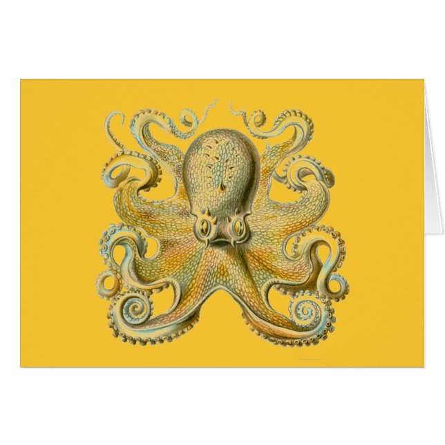 Haeckel Octopus (Front Horizontal)