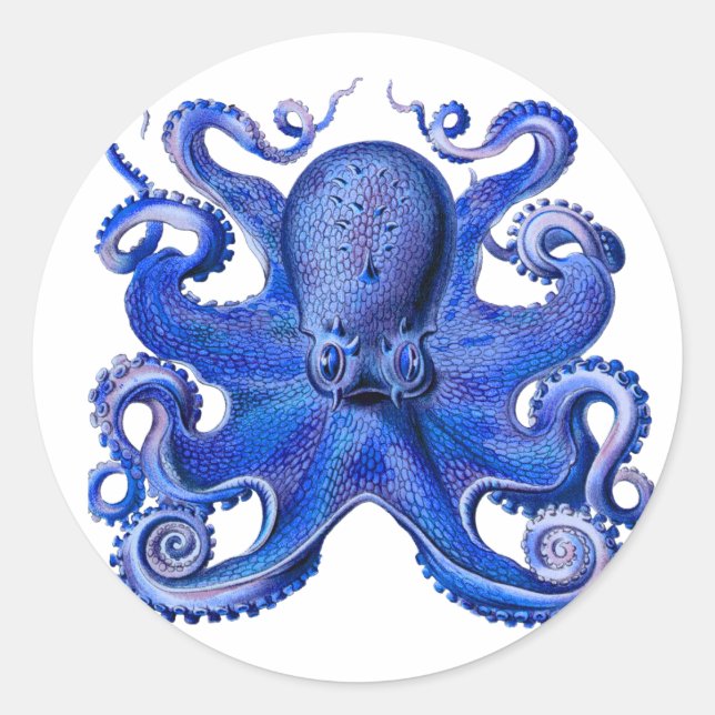 Haeckel Octopus Blue Classic Round Sticker (Front)