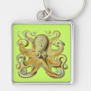 Haeckel Octopus Key Ring