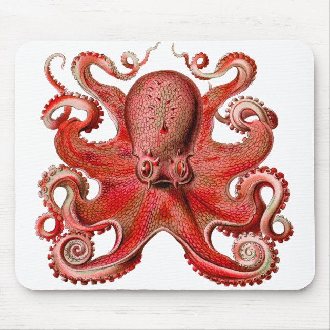 Haeckel Octopus Red Mouse Mat (Front)