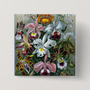 Haeckel Orchid Study Illustration Button