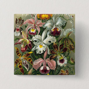 Haeckel Orchids 15 Cm Square Badge
