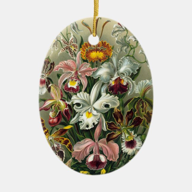 Haeckel Orchids Ceramic Tree Decoration (Front)